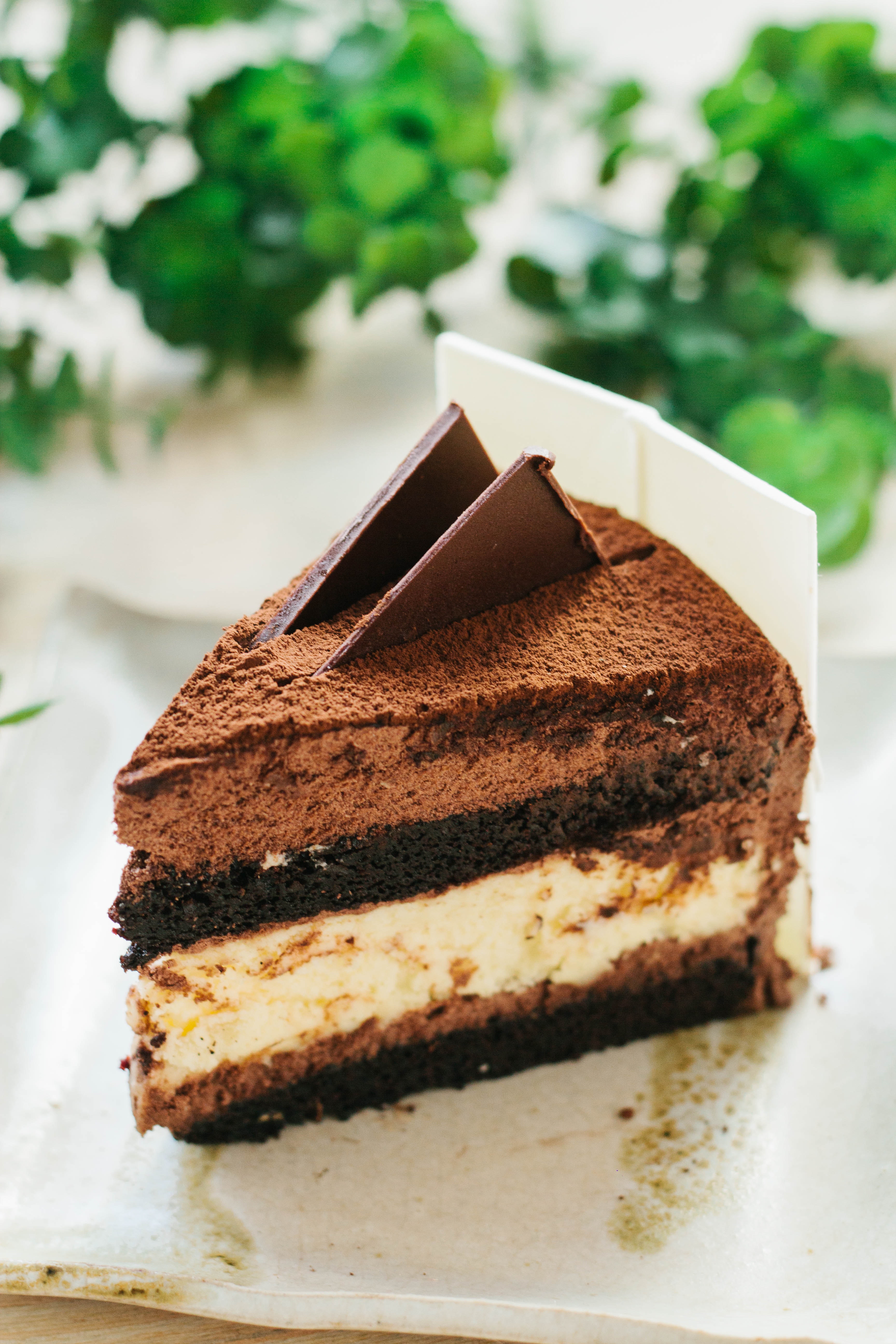 cake-1